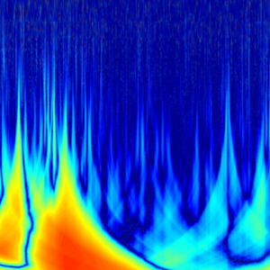 Wavelet