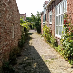 Neighbours