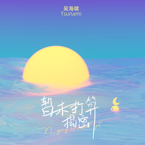 暂未打算揭秘（伴奏）