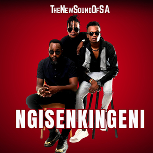 Ngisenkingeni