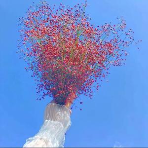 等到世界颠倒你会来爱我