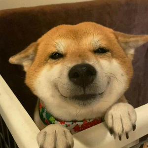 无尽的思念(DJ版)