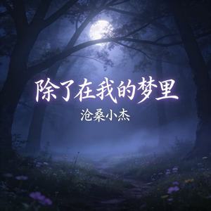 除了在我的梦里