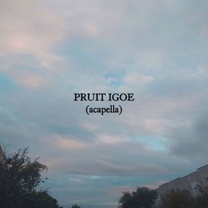 Pruit Igoe (acapella)