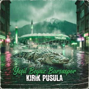 Yeşil Beyaz Bursaspor