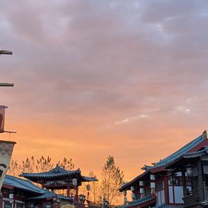 既入穷巷就该及时掉头