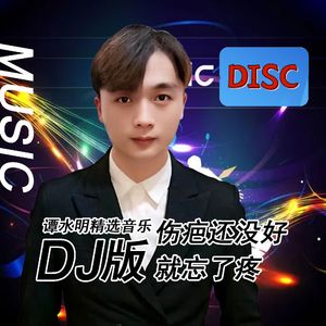 伤疤还没好就忘了疼(DJ版)