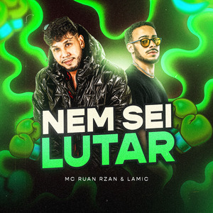 Nem Sei Lutar