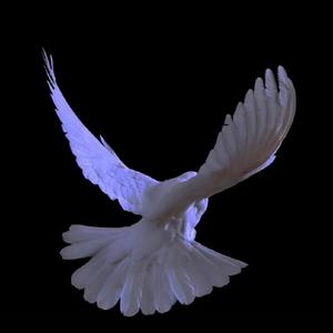 李尔王（橙光游戏《一千零三万》角色曲正式版）