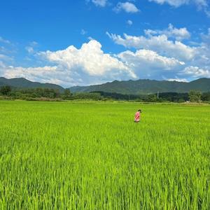 你就这样出现.不经意间.曾经我们是情侣