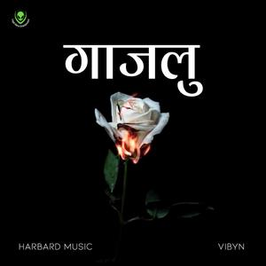 Gajalu (feat. Vibyn)