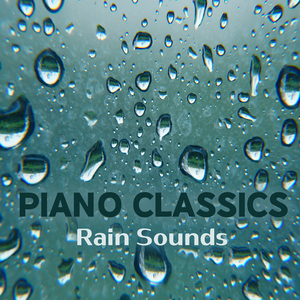 슈만 : 저녁에 (빗소리)