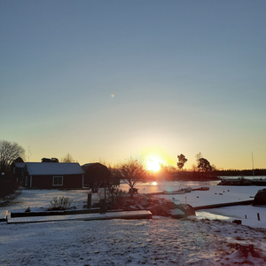 Morgondis