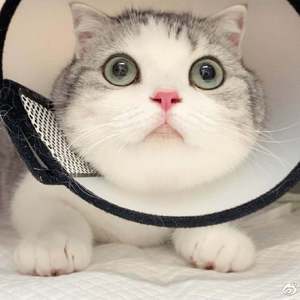 病痛全都飞走咯！（prod by Bubbleboy）