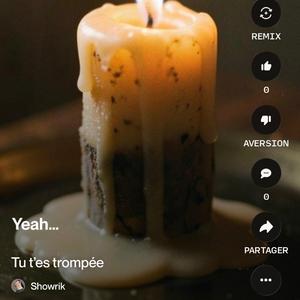 Tu t'es trompée