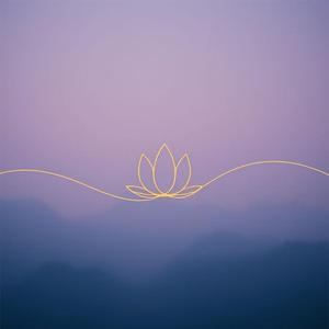 Echoes in the Gallery