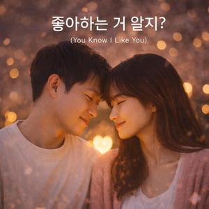 좋아하는 거 알지 (You Know I Like You)