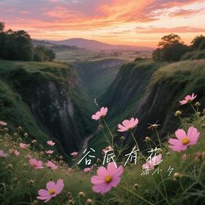 谷底有花