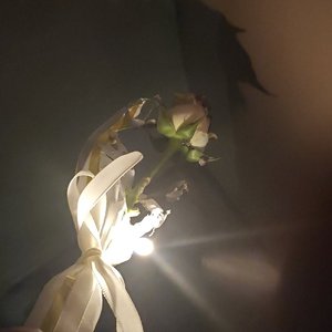 差点就当真了(demo)