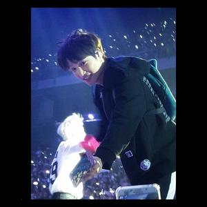 白鸽·教堂的白鸽会不会亲吻乌鸦