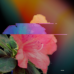 Run This Town Feat. Sciamachy