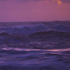 明知不可为而为之是我最大的诚意