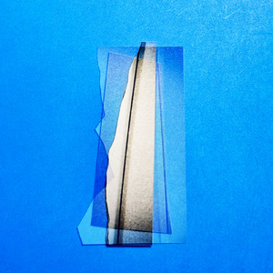 アンモナイト (央京編)