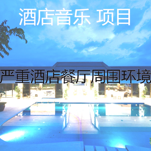 优美酒店鸡尾酒吧器乐