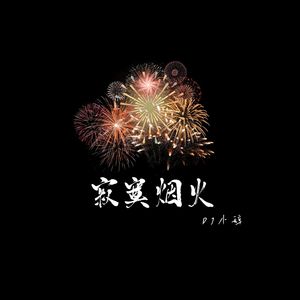 寂寞烟火（DJ小辞版）