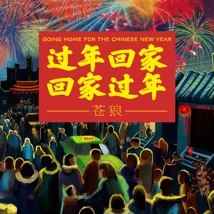 过年回家回家过年 (剪辑版)