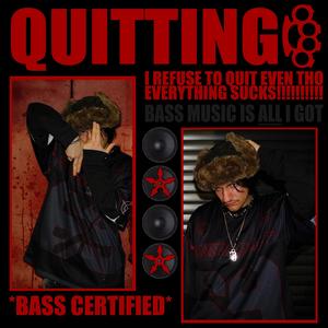 DAMN I WOULD LOVE TO QUIT