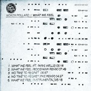 What We Feel (feat. Paris Wells)