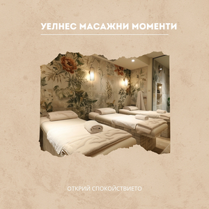 Гмуркане в сънища