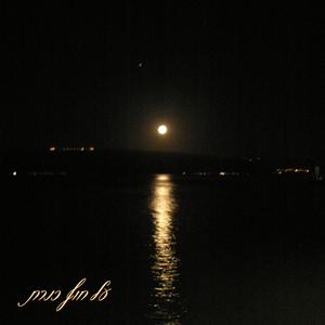 על חוף כנרת