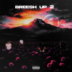 breesh up 2 (feat. reefuh & dexelz)