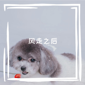 风走之后
