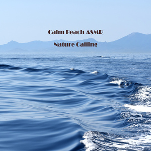 잔잔한 바닷가 ASMR