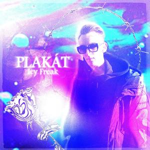 Plakát