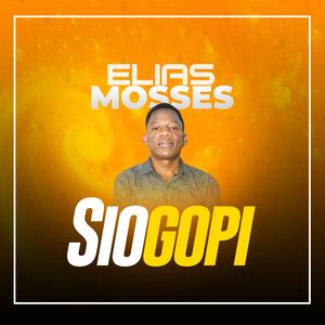 Siogopi