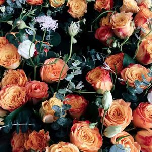 时光机prod.by cold melody