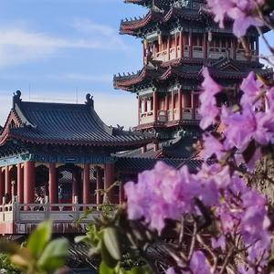 龙卷风（cover——群星)