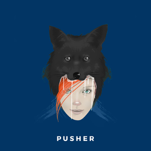 Pusher