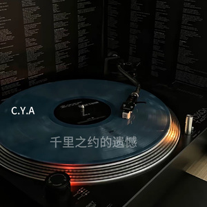 别烦了-千里之约的遗憾