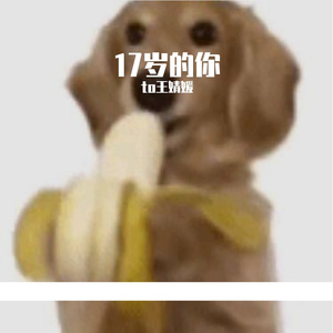 17岁的你