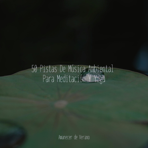 Abrazo de Ámbar junto al Mar