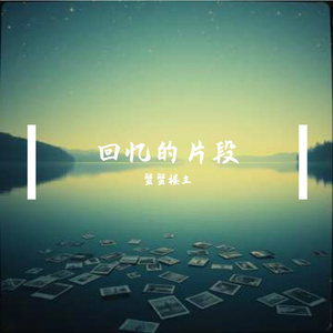 回忆的片段