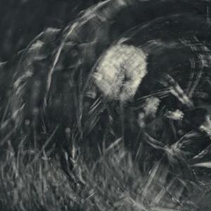 无常（男声版）