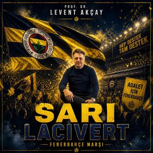 Sarı Lacivert