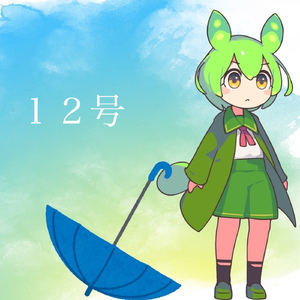 12号