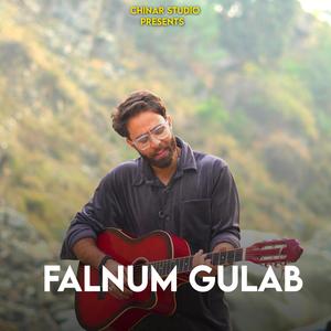 Falnum Gulab (feat. Rohullah Tariq & Aatif Gulzar)
